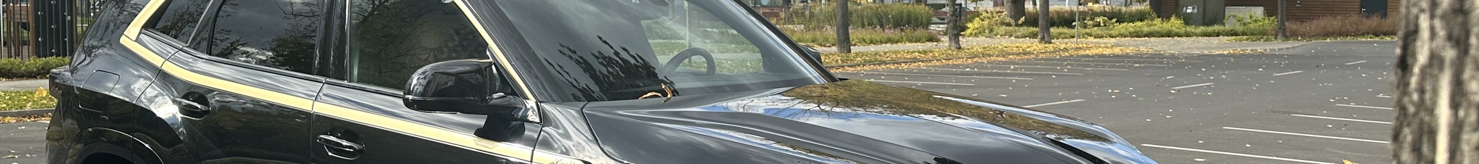 BMW XM G09