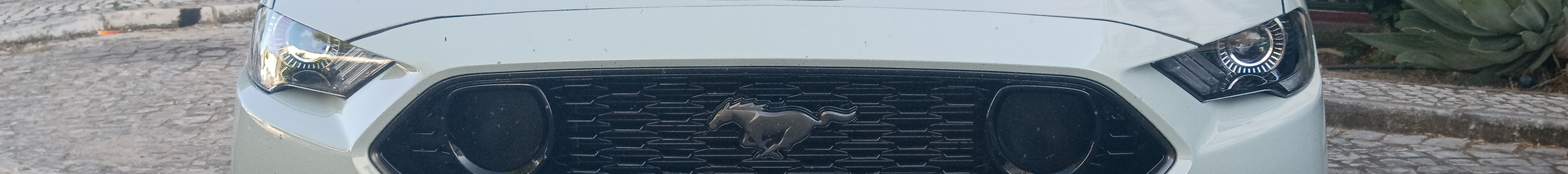 Ford Mustang Mach 1 2021