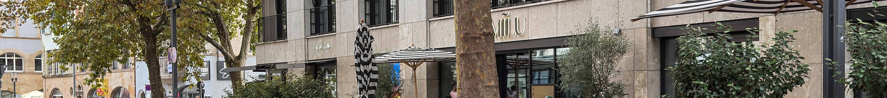 Porsche 991 GT3 RS MkI