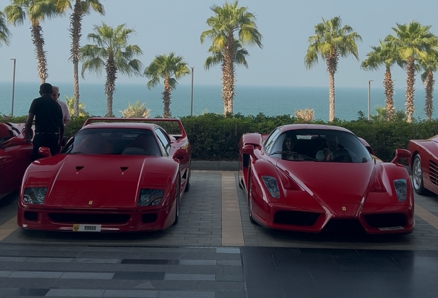 Ferrari Enzo Ferrari