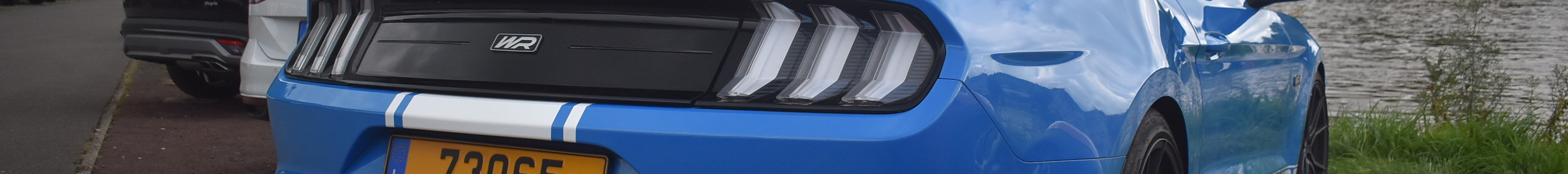 Ford Mustang GT 2018 Wengler Racing