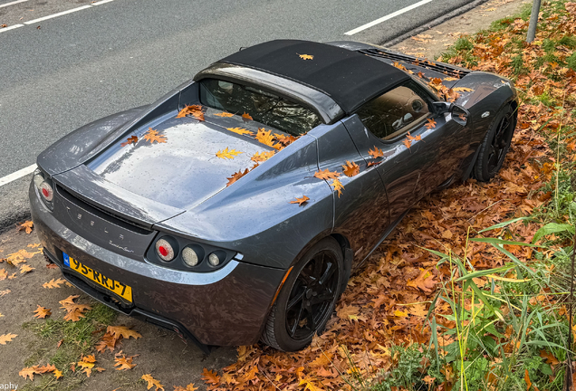 Tesla Motors Roadster Sport 2.5