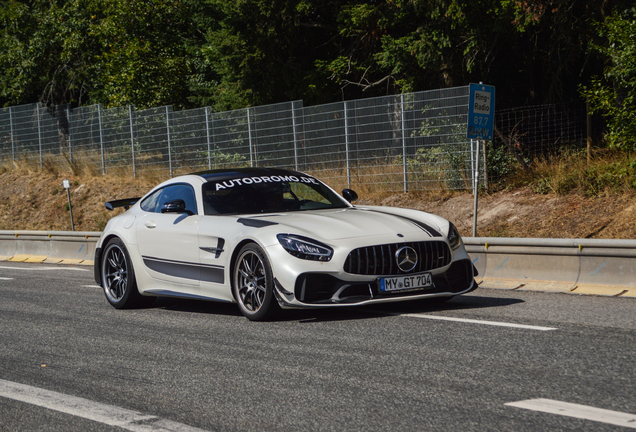Mercedes-AMG Renntech GT R Pro C190