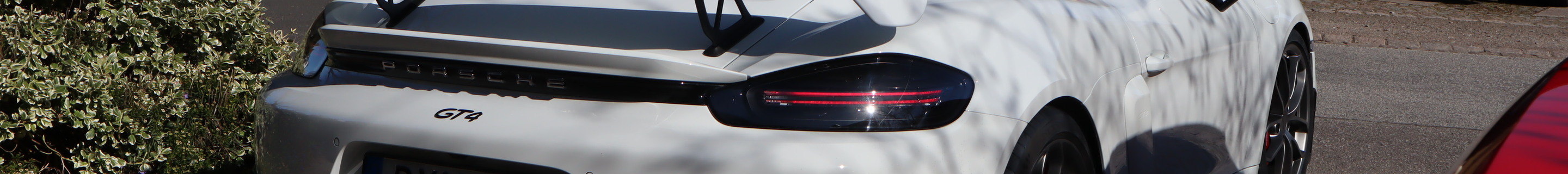 Porsche 718 Cayman GT4