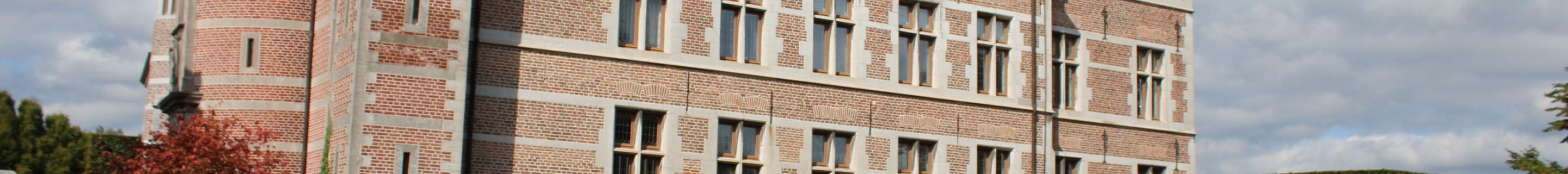 Audi RS7 Sportback C8