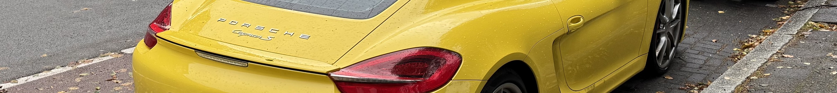 Porsche 981 Cayman S