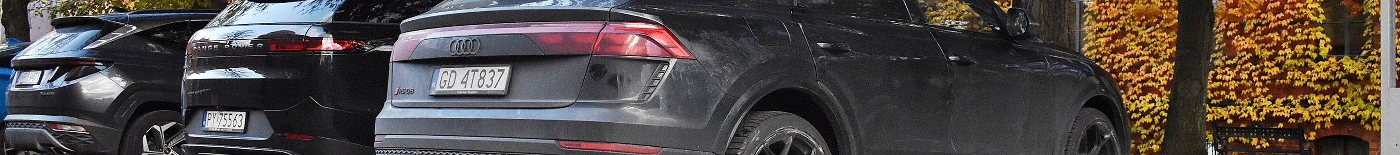 Audi RS Q8 2024