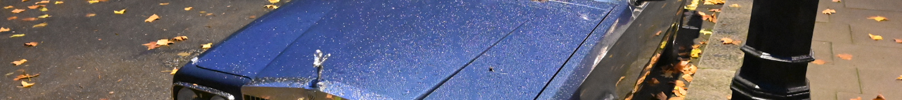 Rolls-Royce Camargue