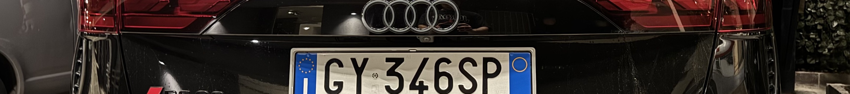 Audi RS Q8 2024