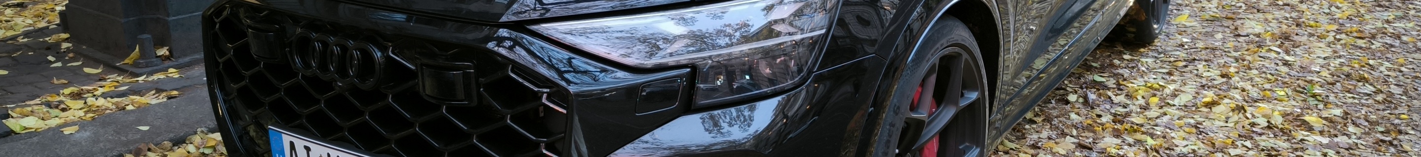 Audi RS Q8 2024
