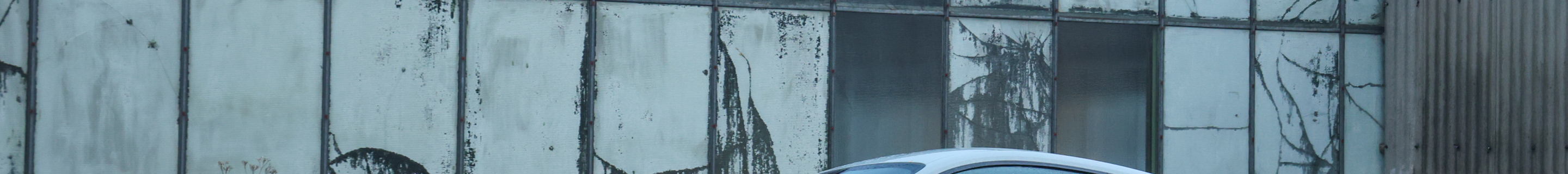 Ford Mustang Mach 1 2021