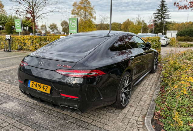 Mercedes-AMG GT 63 S E-Performance X290 2024