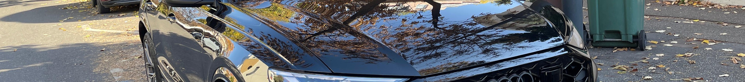 Audi RS Q8 2024