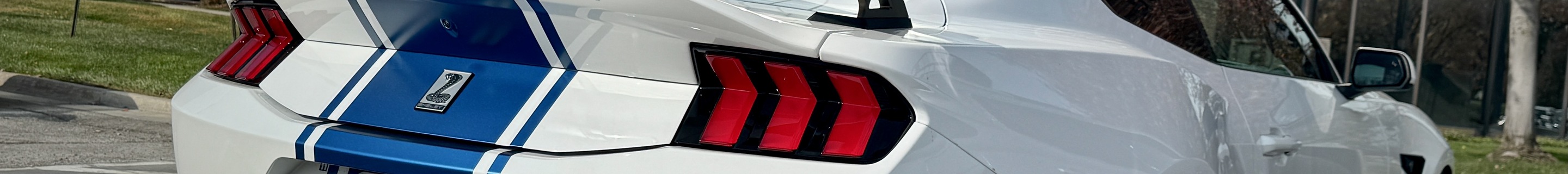 Ford Mustang Shelby Super Snake 2025