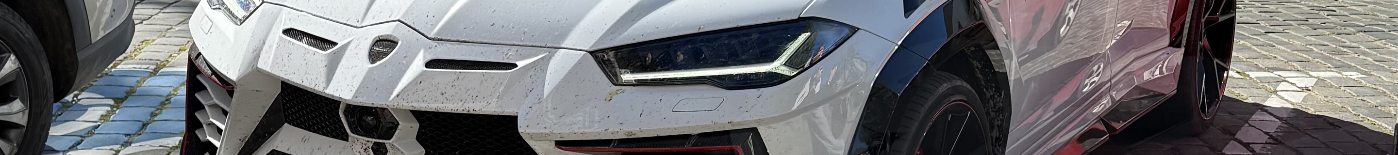 Lamborghini Urus Mansory Venatus