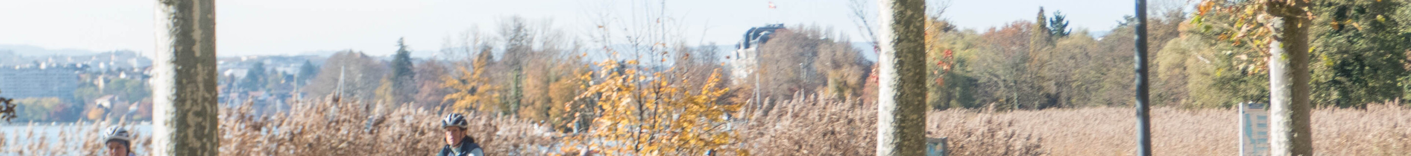 Porsche 992 Targa 4S MkI