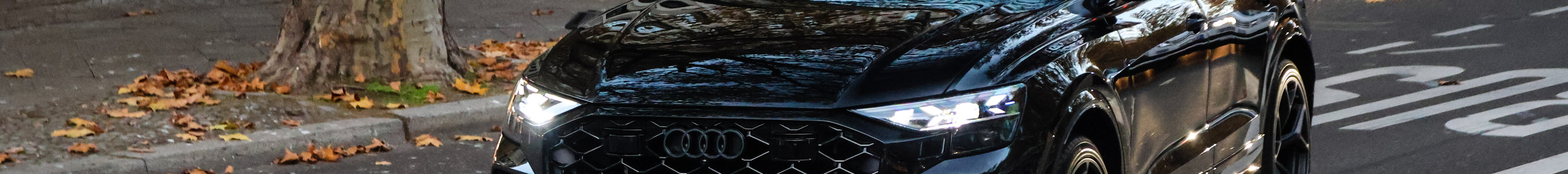 Audi RS Q8 2024