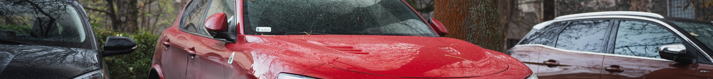 Alfa Romeo Stelvio Quadrifoglio 2020