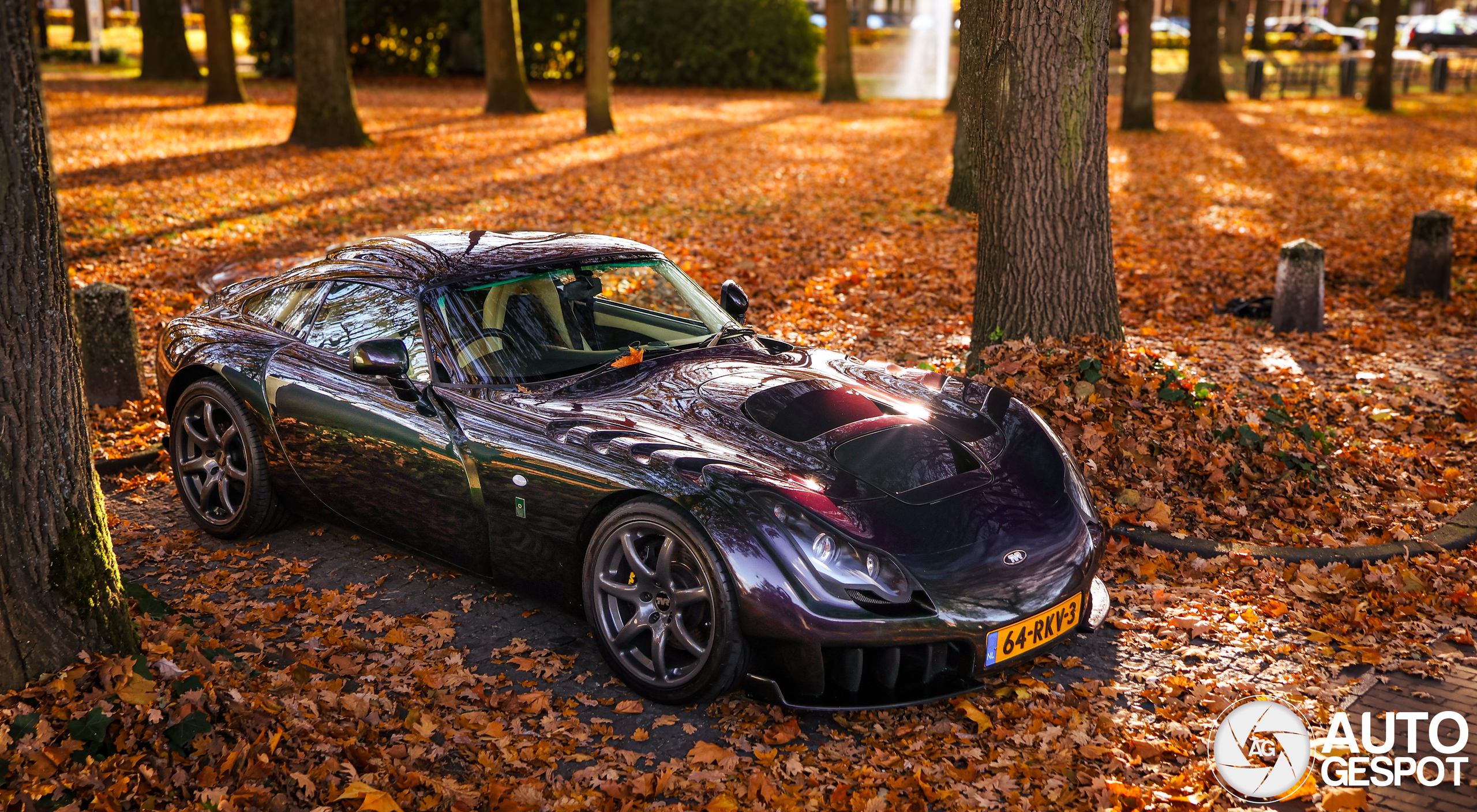 TVR Sagaris