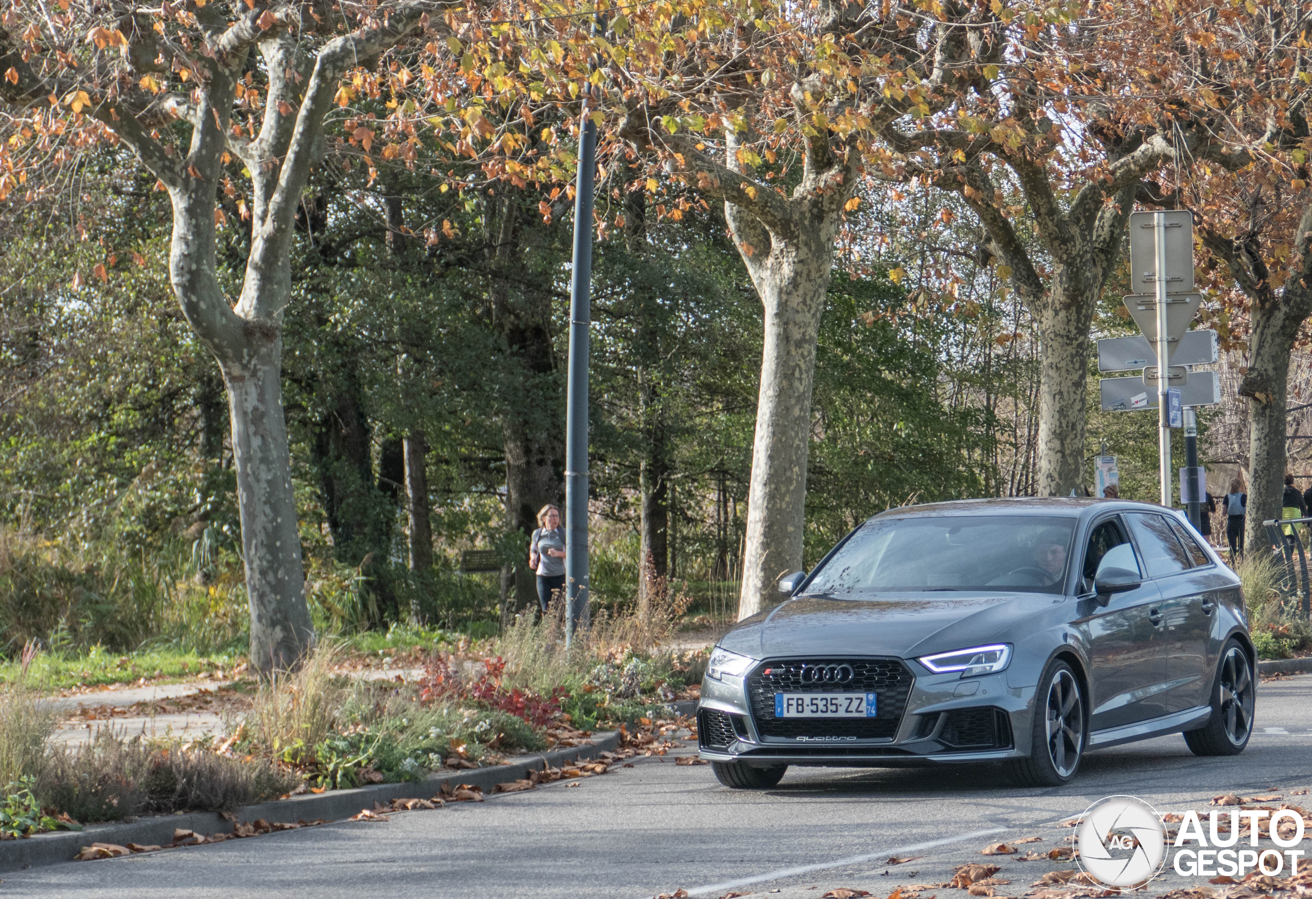 Audi RS3 Sportback 8V 2018