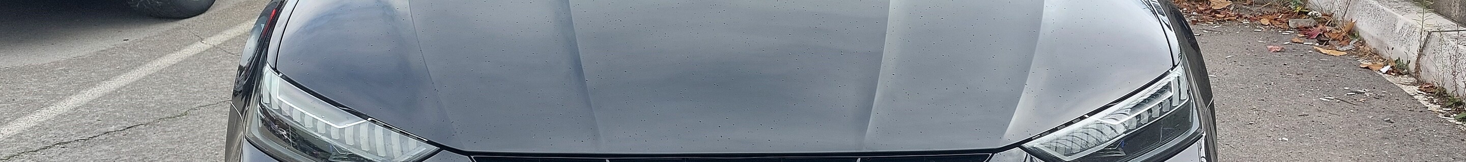 Audi RS7 Sportback C8