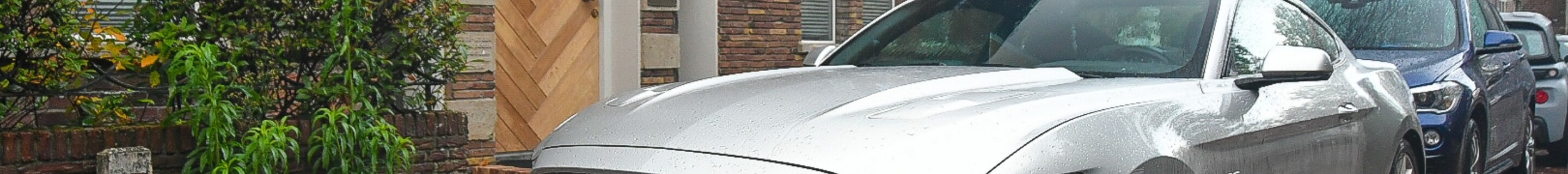 Ford Mustang GT 50th Anniversary Edition