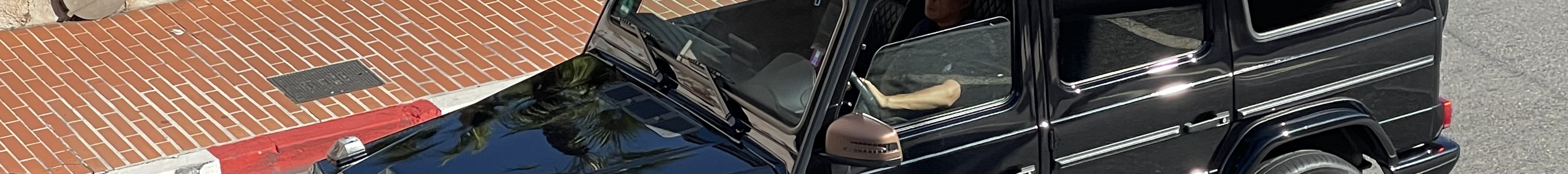 Mercedes-AMG G 65 2016 Final Edition