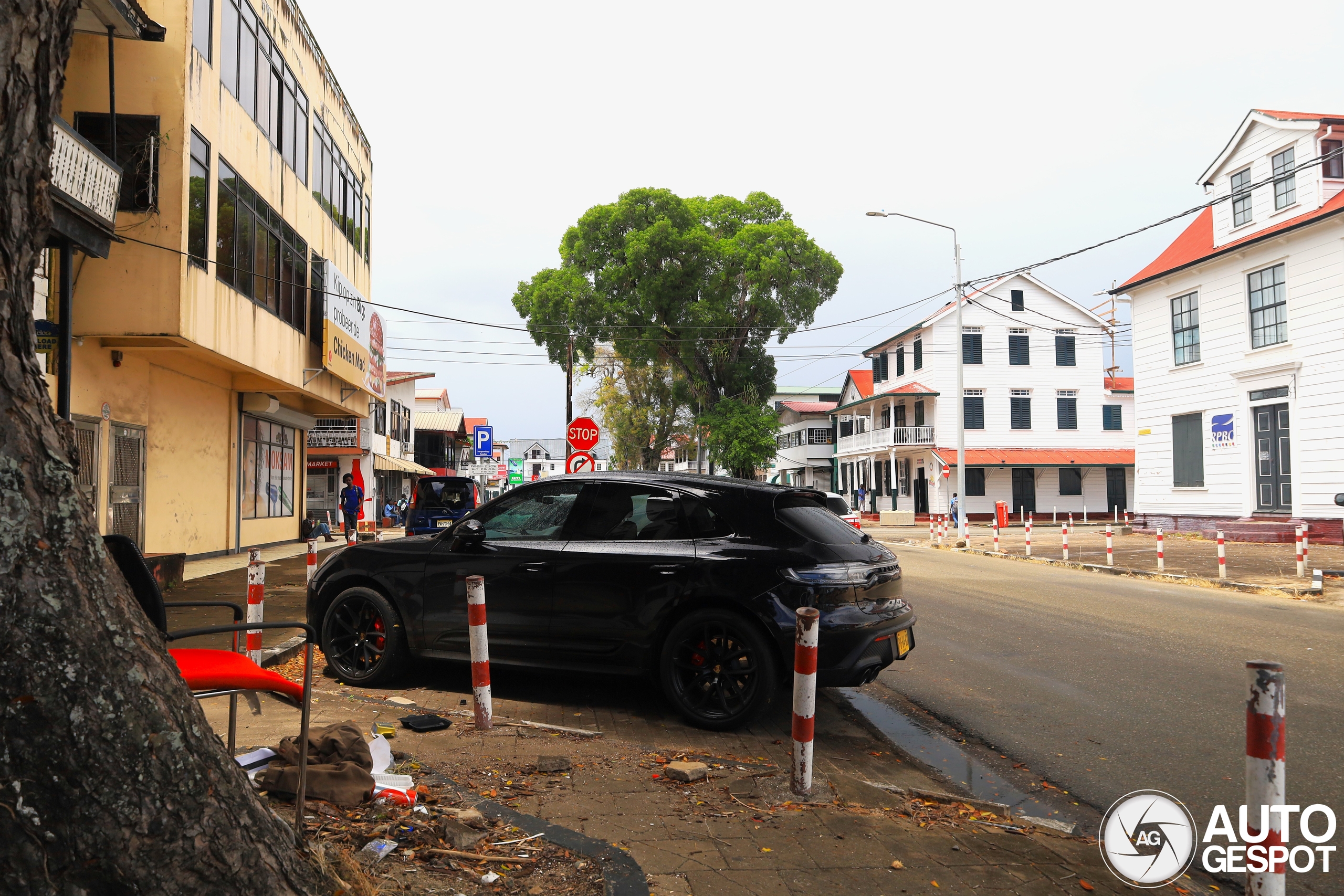 After more than a decade, another sighting from Suriname