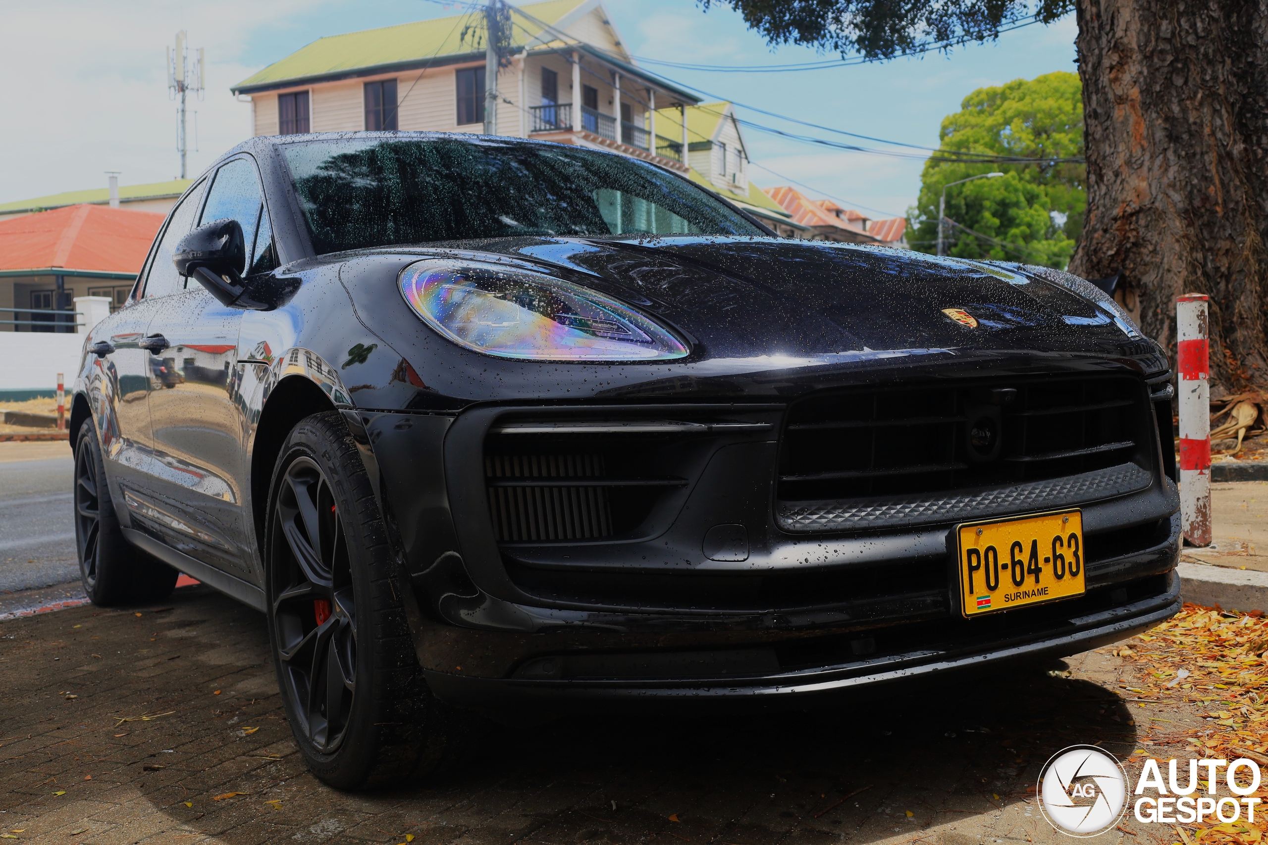 Nach mehr als einem Jahrzehnt ein weiterer Fund aus Suriname