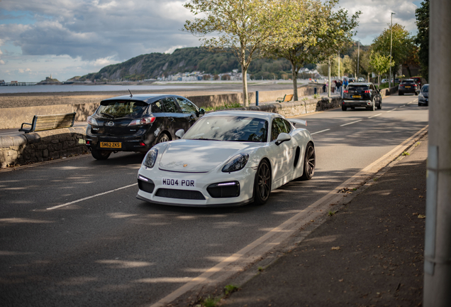 Porsche 981 Cayman GT4