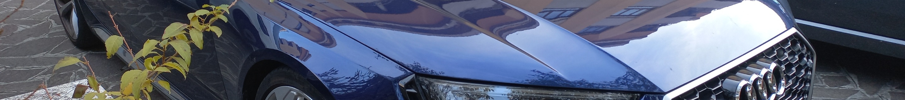 Audi RS4 Avant B9