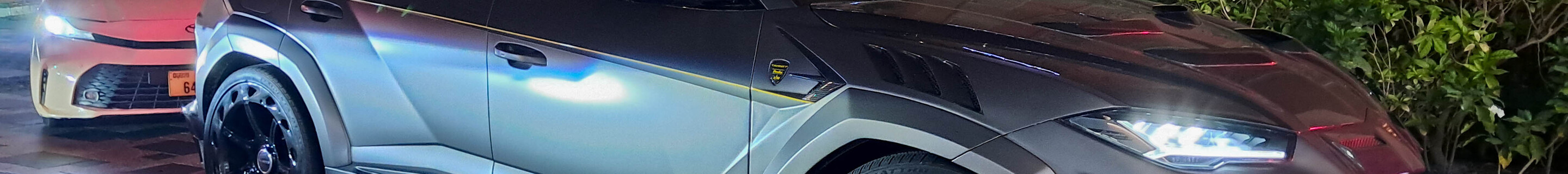 Lamborghini Urus Mansory Venatus