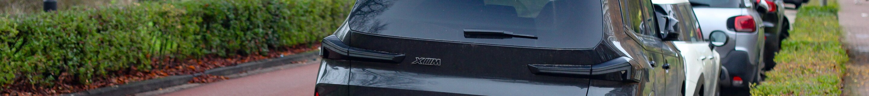 BMW XM G09