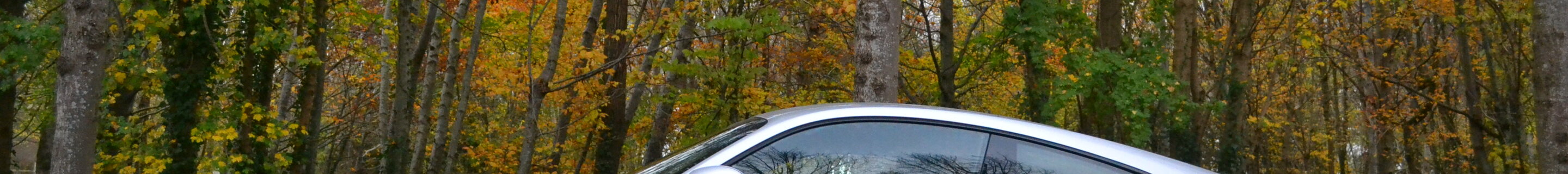 Porsche 991 Carrera 4S MkI