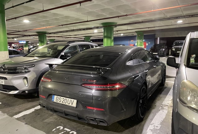 Mercedes-AMG GT 63 S E-Performance X290 2024