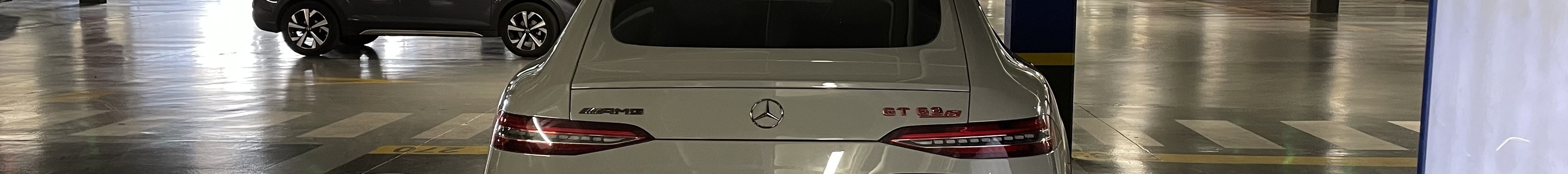 Mercedes-AMG GT 63 S E-Performance X290 2024