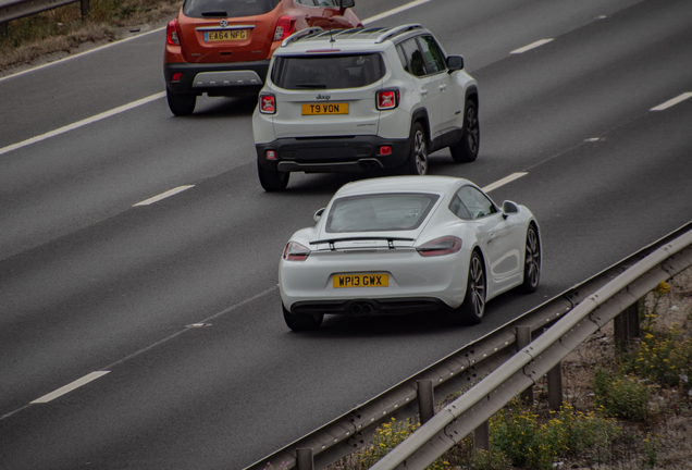 Porsche 981 Cayman S