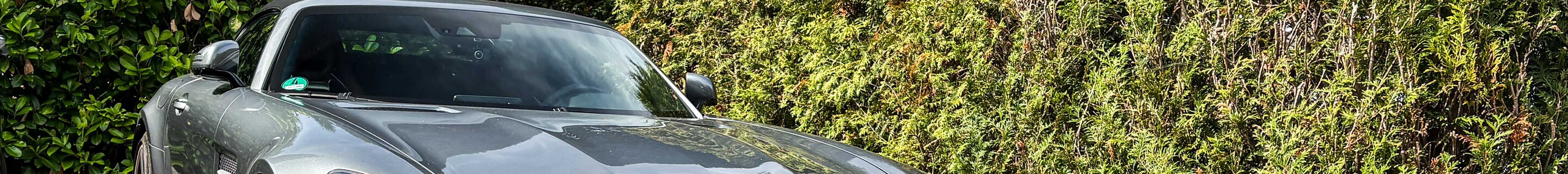 Mercedes-AMG GT C Roadster R190