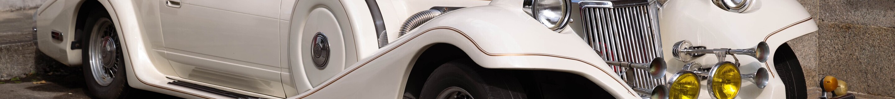 Mitsuoka Le-Seyde