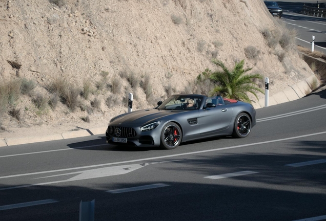 Mercedes-AMG GT Roadster R190 2019