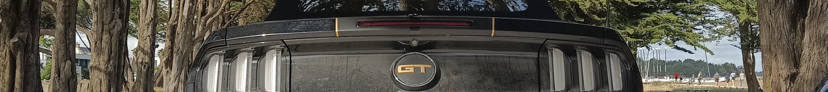 Ford Mustang GT Convertible 2015