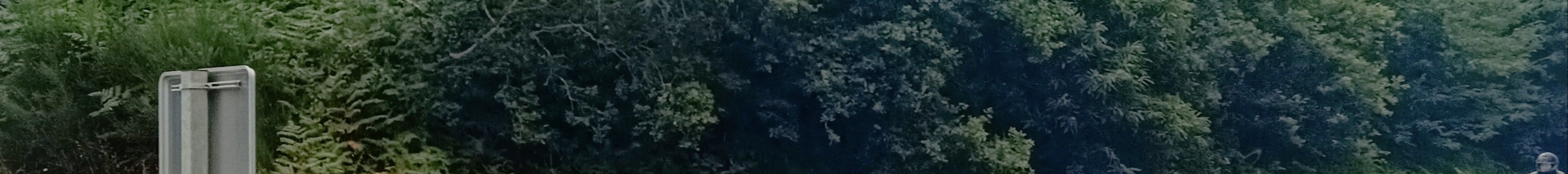 Lamborghini Huracán LP640-4 Performante