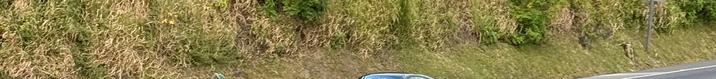 Porsche 991 Turbo S MkI