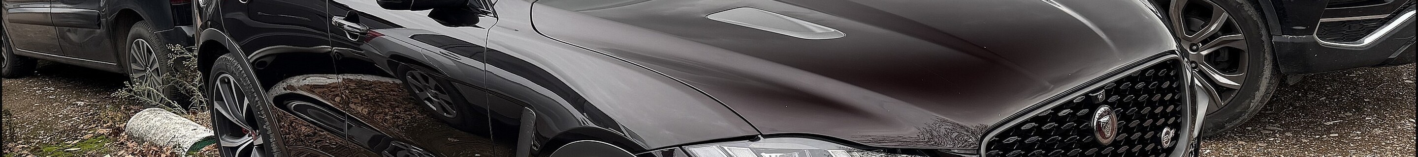 Jaguar F-PACE SVR 2021