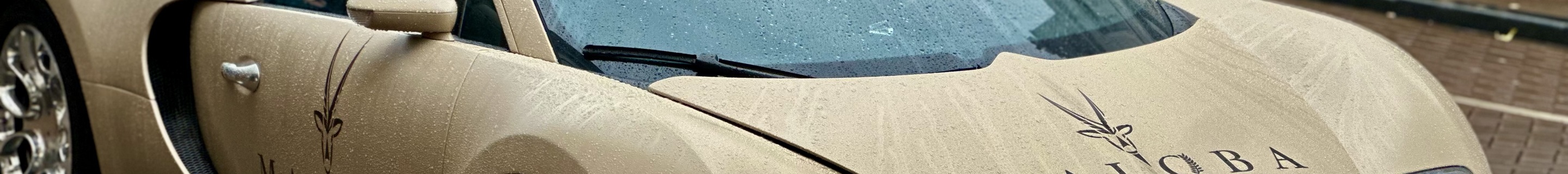 Bugatti Veyron 16.4 Grand Sport