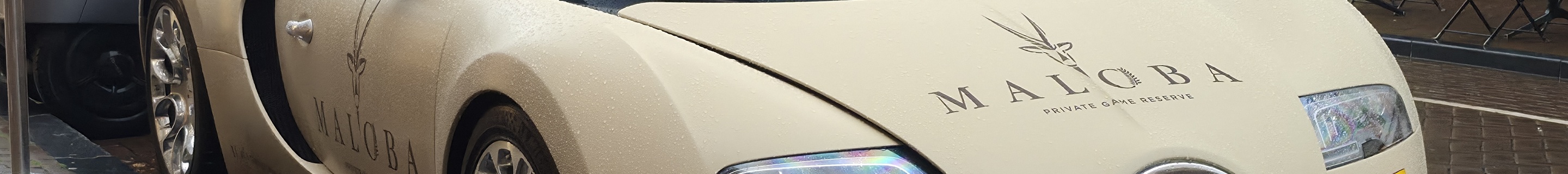 Bugatti Veyron 16.4 Grand Sport