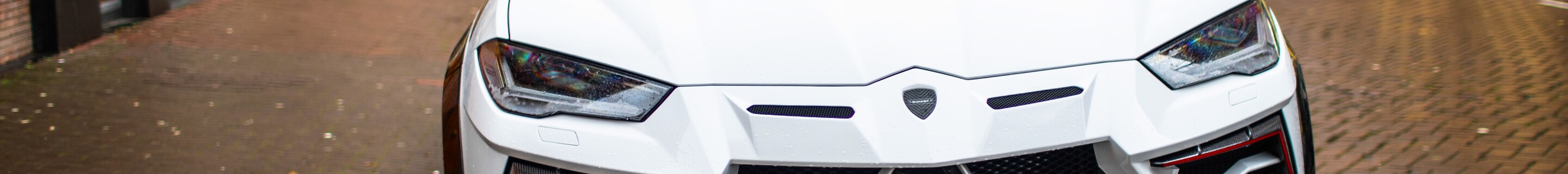 Lamborghini Urus Mansory Venatus