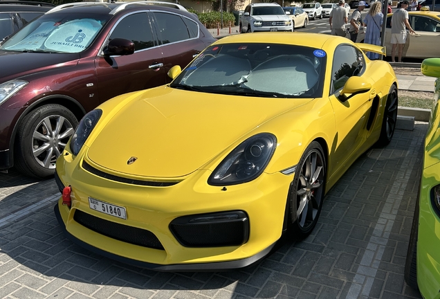 Porsche 981 Cayman GT4