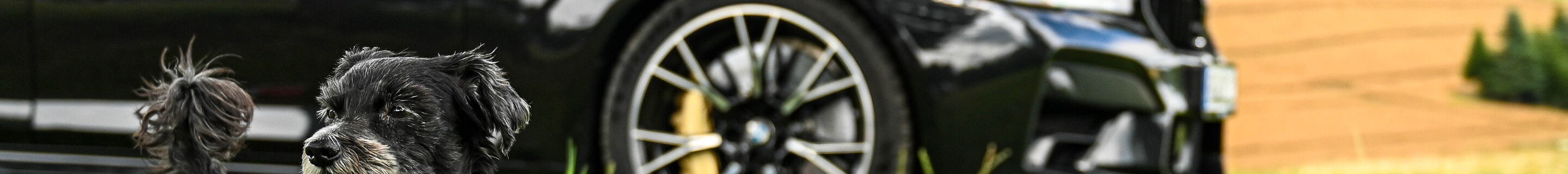 BMW M5 F90 Competition 2021