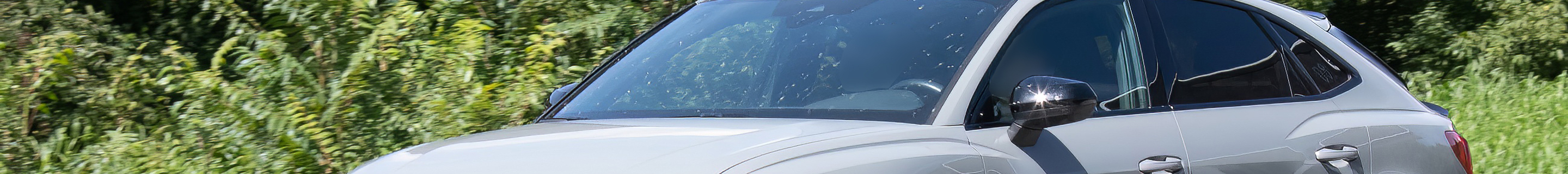 Audi RS Q3 Sportback 2020